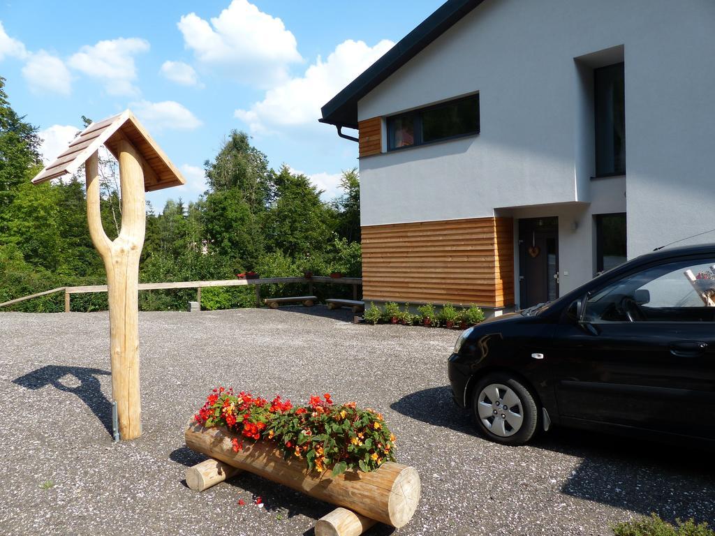 Skipension Janske Lazne Bagian luar foto