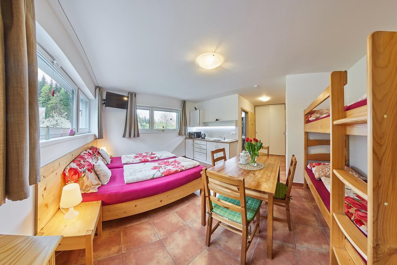 Skipension Janske Lazne Bagian luar foto