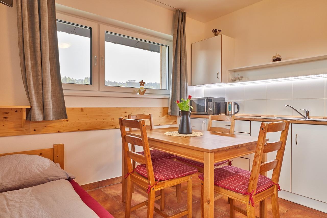 Skipension Janske Lazne Bagian luar foto